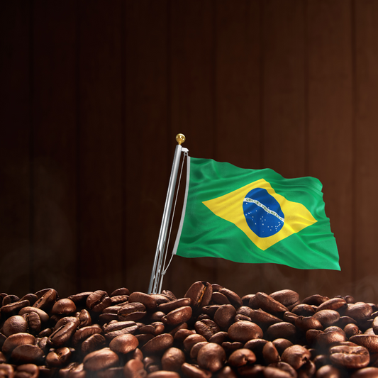 Taste the Tradition: The Story Behind Our Single-Origin Brazilian Coffee