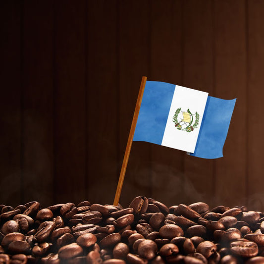 A Journey Through the History and Flavor of Guatemalan Coffee