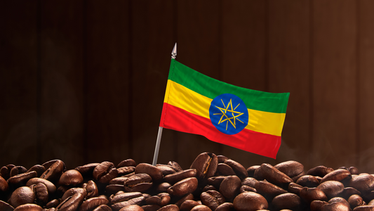 The Timeless Tale of Ethiopian Coffee Beans: A Journey Through History and Flavor