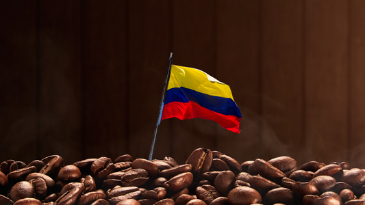 Uncover the Legacy and Unique Taste of Colombian Coffee Beans